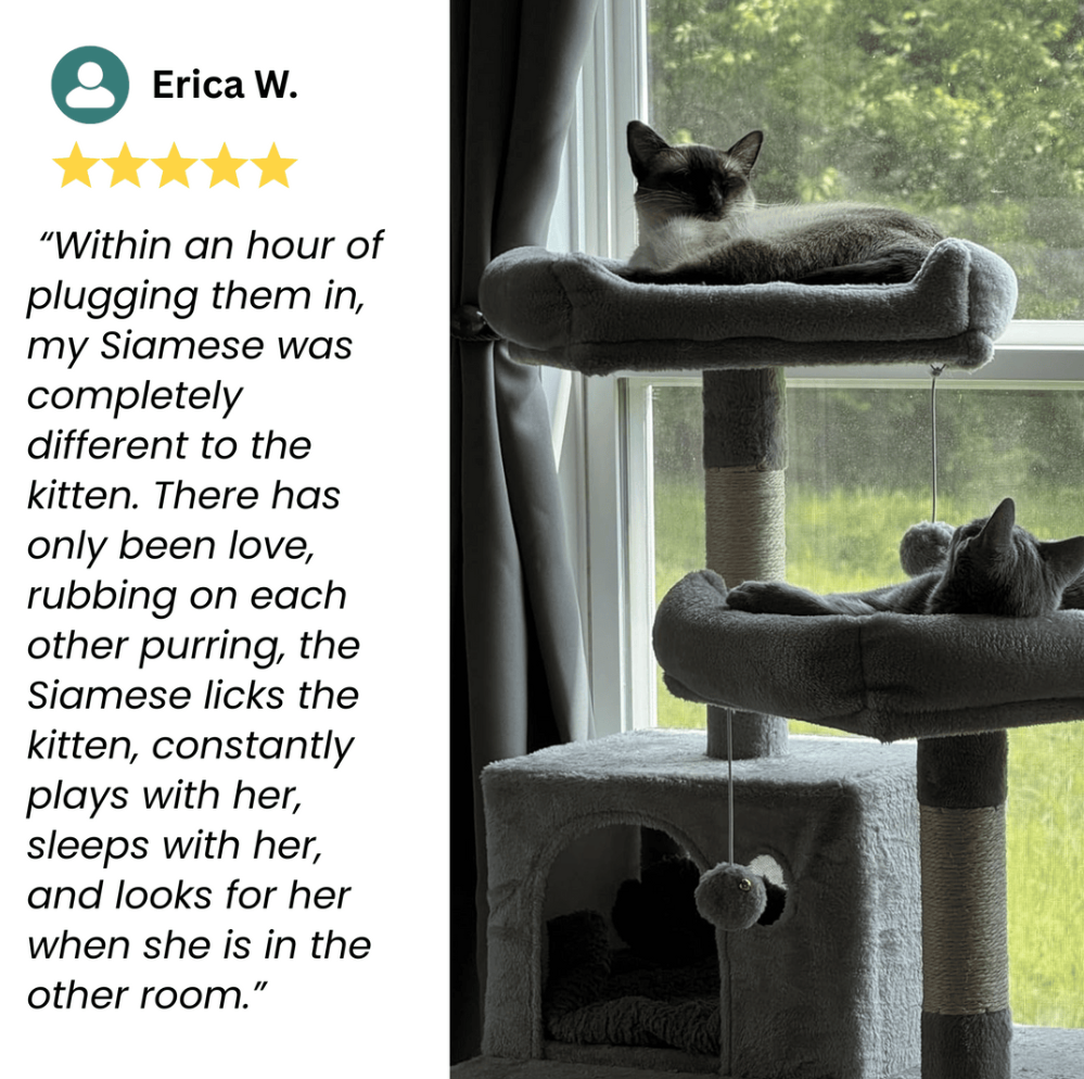 SciencePaws™ CalmSpace System